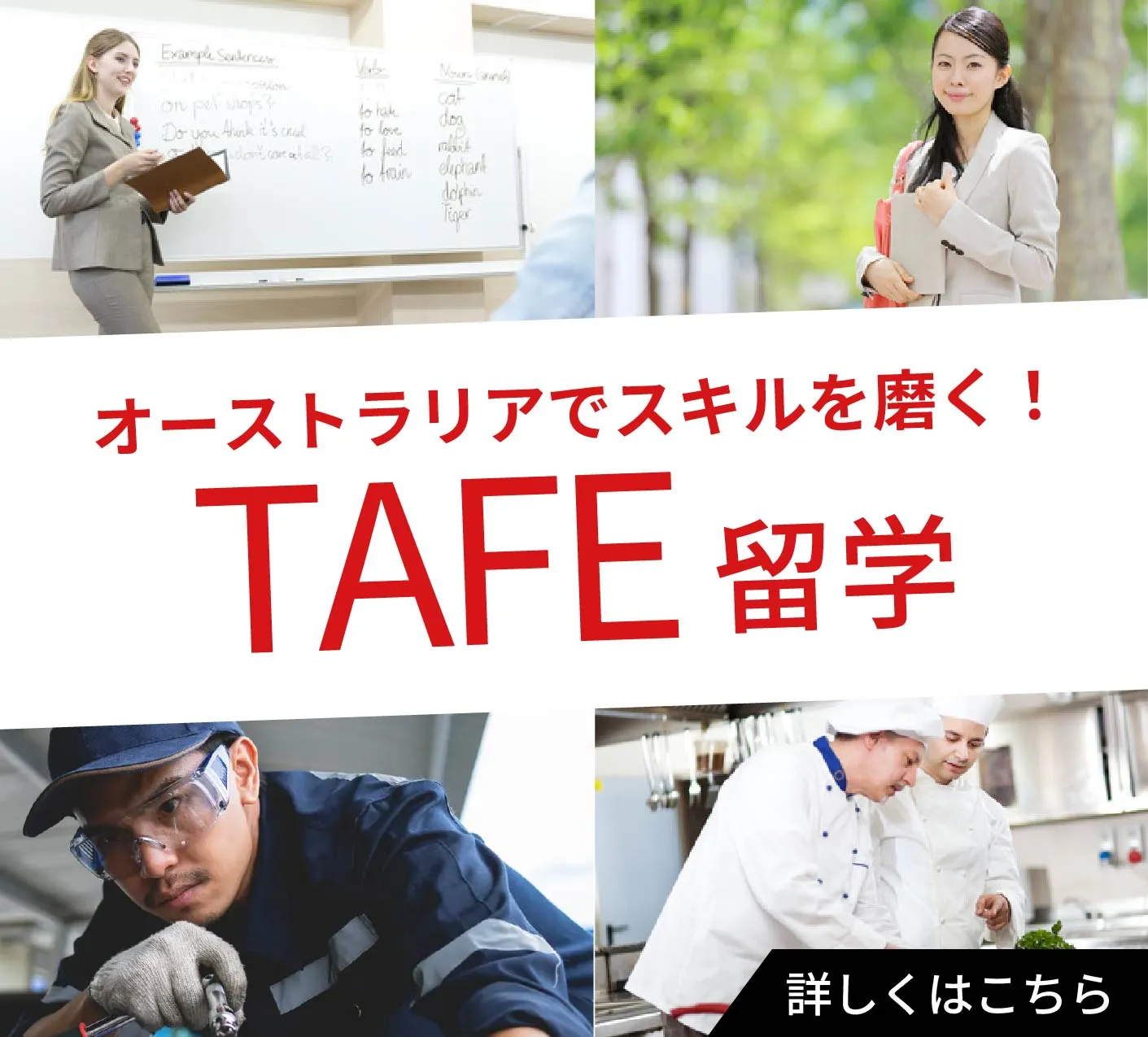 TAFE留学