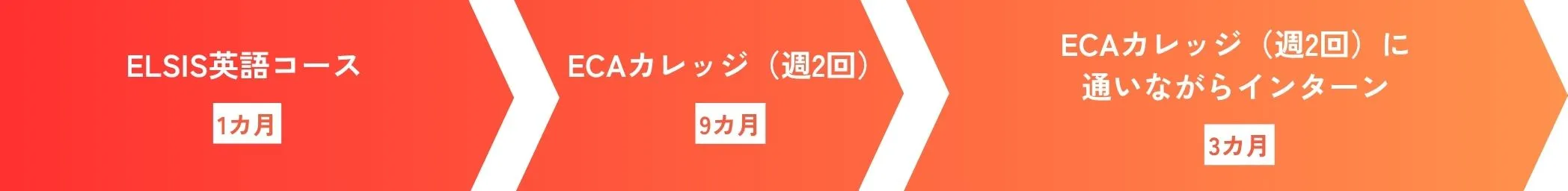 ケース①ワーホリビザで英語コース＋インターンのイメージ